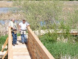 Otter Point board walk lets you walk into the marsh